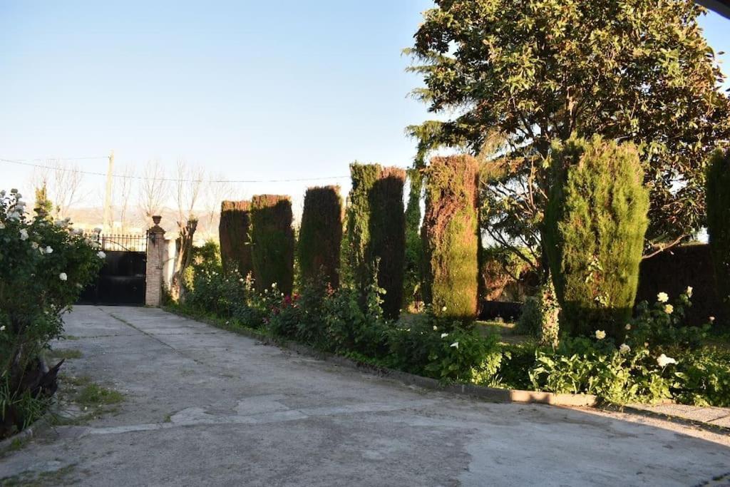 Vivienda Rural Huerta Del Medio Granada Exterior foto